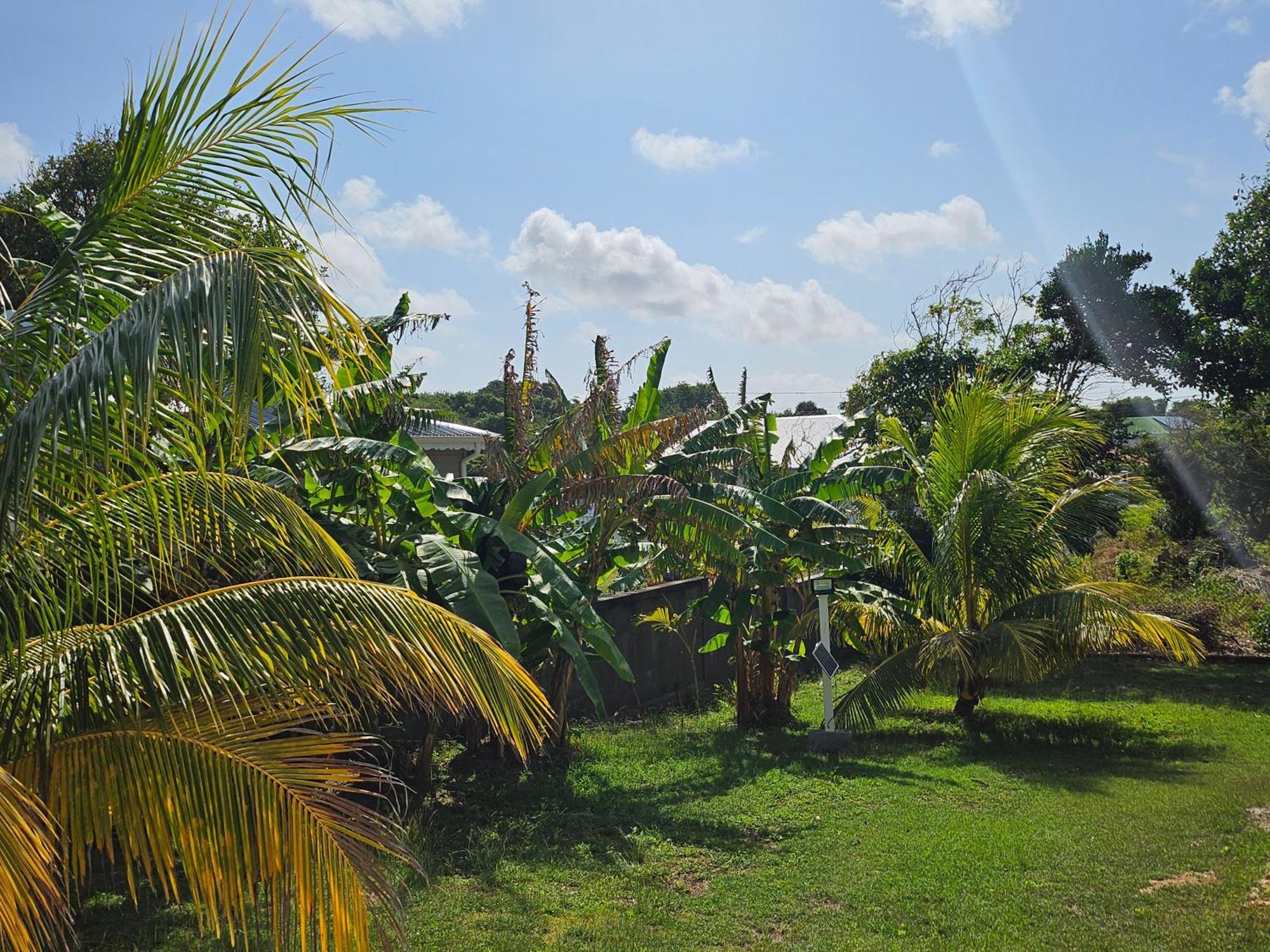 Villa Bungalow Bo Sicrie Le Moule Exterior foto